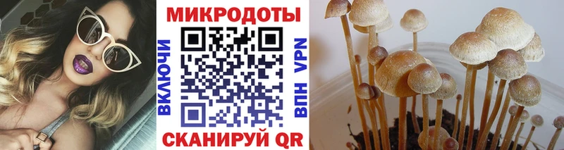 Галлюциногенные грибы Magic Shrooms  Купить закладки  Кызыл 