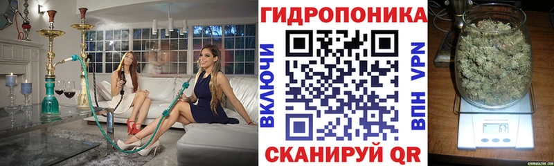 Канабис LSD WEED  Купить закладки  Кызыл 